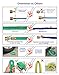 Greenbest 2016 New 50' Expanding Garden Hose, Ultimate Expandable Garden Hose, Solid Brass Connector Fittings, Green