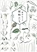 植物たち (文芸書)