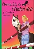 Image de Ebène, fils de l'Etalon Noir, Tome 3 : Le retour