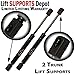 Qty (2) FORD Fusion, Milan, MKZ 2007 To 2009 Trunk Lift Supports, Struts, With Out Spoiler Manufactured Till 01/17/2007