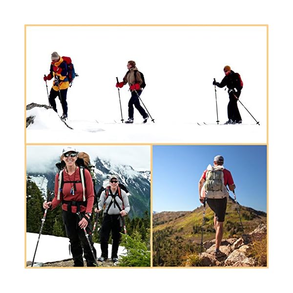 cleebourg trekking pole