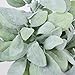 Sunm Boutique 3 Pcs Artificial Lamb's Ear Leaf Artificial Greenery Flocked Lambs Ear Leaves in Silver Green for Christmas Festival Wedding Garden Centerpieces Bouquet Floral Arrangement