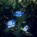 XLUX Outdoor Solar Powered Rose Lights Flower Stake, for Garden Patio Yard Christmas Pathway Decoration, Blue