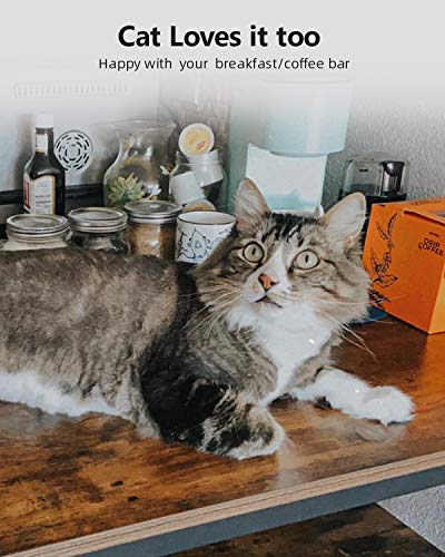 51yH9%2BX5chL 51yH9%2BX5chL