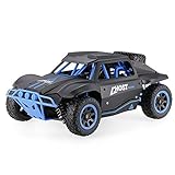 Blexy RC Truck 1/18 Scale Remote Control Car 2.4Ghz 4WD High Speed Off-Road Electric Vehicles for kids 