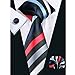 Hi-Tie New Style Striped Men's Necktie Set