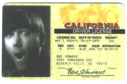 Three Stooges - Moe Howard Driver License Novelty Id Card by Signs 4 Fun