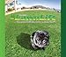 Lawnlift Ultra Concentrated (Green) Grass Paint 16oz. = 1.375 Gallons of Product.