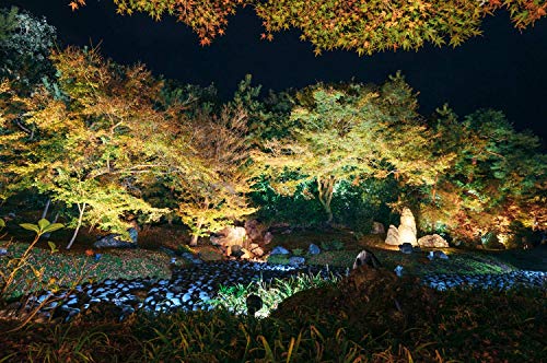 16W LED landscape light Outdoor Landscape Spotlights with Spike Stand 12V Low Voltage landscape lighting, IP66 Waterproof Garden Yard Trees Flags Pathway Lights Warm White(950LM, 3500K), 8pack