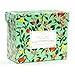 Minimalmart All Occasion Premium Greeting Cards Assortment Box organizer- 32 UNIQUE DESIGNS Birthday, Thank You, Get Well Soon, Congratulations, Wedding, Anniversary, and Friendship Bulk- GOLD STAMPED primary