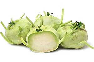 GENERIC Forest Corner Fresh Kohlrabi Cabbage turnip German Turnip 3 LBS