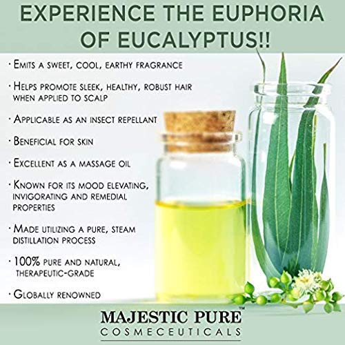 1 Majestic+Pure+Eucalyptus+Essential+Therapeutic