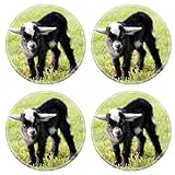 MSD Round Coasters Non-Slip Natural Rubber Desk