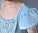 Romy's Collection Princess Cinderella Special Edition Blue Party Deluxe Costume Dress-Up Set (Blue, 3-4)