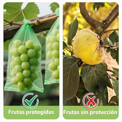 Pack of 100 Protective Bags for Grapes, 20 x 30 cm Drawstring Bag to Protect Fruit, Green Fruit, Protects Against Wasps, Fruit Flies, Birds and Other Insects