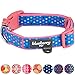 Blueberry Pet 6 Patterns Multicolor Polka Dot Neoprene Padded Adjustable Dog Collar in Brink Pink, Large, Neck 18