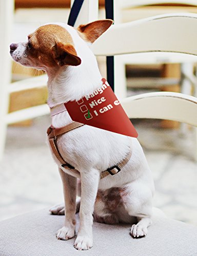 Christmas Gifts for Dogs I Can Explain Nice Naughty List Christmas Outfit for Dogs Small Dog Bandana Scarf for Dogs Bib I Can Explain
