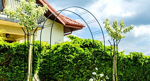 KADAX Rosenbogen, Gartenbogen für Kletterpflanzen, Rosen, Garten, Pergola, pulverbeschichteter Stahl, Gartenlaube, wetterfest, Rankhilfe, Torbogen, Spalier, Deko, Schwarz (40 x 150 x 256 cm) – Bild 5