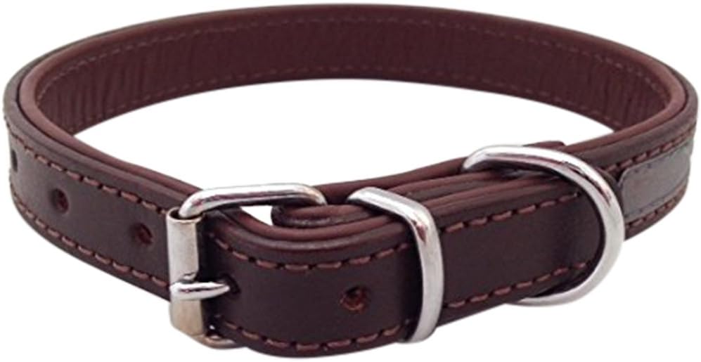 Harrington Marley NEW HAND MADE LEATHER BROWN DOG COLLAR NIGHT REFLECTIVE SAFETY MEDIUM COLLIE SPANIEL FLUORESCENT