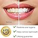 Dental Tools to Remove Plaque and Tarter Dental Picks Professional Dental Hygiene Tools Dental Hygienist tools Instruments Stainless Steel