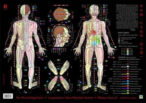 The Flourishing Circle Shiatsu Chart: Acupuncture-Moxa Meridian System