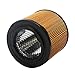 HIFROM Replacement Round Air Filter Compatible with BMW 13721254382, 13 72 1 254 382, 13 72 1 251 048, LX194 (5