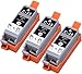 3 Pack Compatible Canon PGI-35 3 Black for use with Canon PIXMA iP100l, PIXMA mini260, PIXMA mini320, RFB IP100. Ink Cartridges for inkjet printers. PGI-35-BK / 1509B002 © Blake Printing Supply