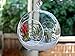 WGV Hanging Terrarium Globe, Width 4