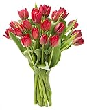 Blooms2Door 20 Red Tulips (Farm-Fresh Flowers, Cut-to-Order, and Homegrown in the USA)