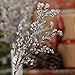Plastic Iced Branch Pick 11