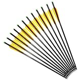 NIKA ARCHERY 12 PCS 16