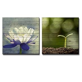 White Water Lily Along with a Small Plant on Blooming on a Pile of Soil Over Wooden Panels - Canvas Art Home Art - 12x12 inches