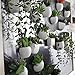 SUJING 1pcs Cute Succulent Plant Magnetic Refrigerator Magnets Cute Home Decor Refrigerator Stickers Creative Notice Message Magnetic Stickers Gift (D(1pcs))