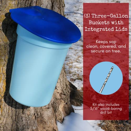 Deluxe Maple Tree Tapping Kit (3) Taps with Hooks (3) 3 Gallon Sap