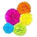 Paper Pom Poms 10, 12, 14 Inch Paper Flowers Balls Decorations for Wedding Birthday Party Outdoor Pack of 15