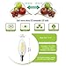 Kakanuo LED Filament Bulb Dimmable E12 Candelabra Base Warm White 2700K 4W - 40W Equivalent C35 Candle Light AC110-130V Fireworks Lamp Decorative LED Bulb