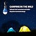 Aitey Camping Light, LED Camping Lantern Portable Waterproof Tent Light, Hiking, Fishing, Storms, Emergency Light Battery Powered Lamp for Outdoor and Indoor - 4 Pack