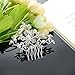 Gentlecarin Vintage Bling Crystal Hair Comb for Women Princess Luxury Style (Y0N7)