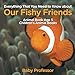Everything That You Need to Know about Our Fishy Friends - Animal Book Age 5 | Children's Animal Boo by Baby Professor