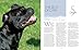 The Staffordshire Bull Terrier: Your Essential Guide From Puppy To Senior Dog (Best of Breed)