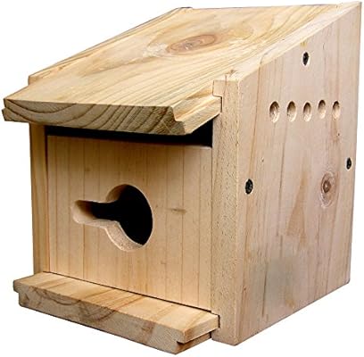 Amazon Com Diy House Sparrow Bird House Garden Outdoor