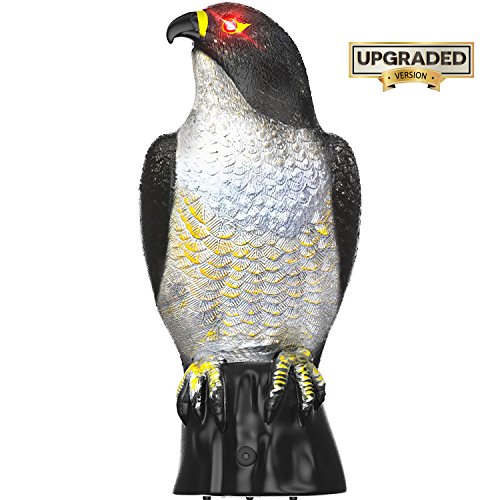 Hoont Garden Scarecrow Eagle Decoy with Scary Flashing Eyes and Frightening Sound Pest Repellent  Motion Activated and Solar Powered  Realistic Predator Repels Birds, Squirrels, Etc. [UPGRADED]