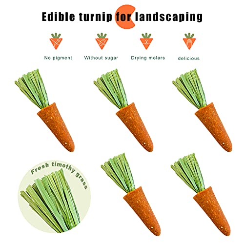 NA Ruisheng15 Pcs Rabbit Chew Toys, Natural Timothy Grass Teeth Grinding Cakes, Mixed Bunny Treats Different Flavor Chew Toys for Hamster Guinea Pig Chinchilla and Other Small Animals (H 01)