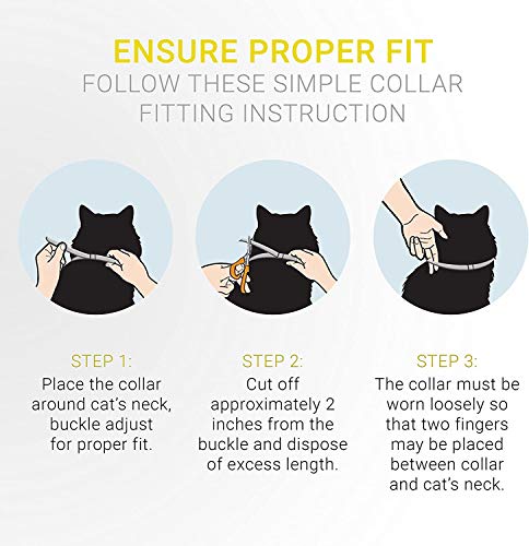 fitting a cat collar