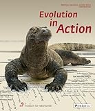 Image de Evolution in Action (Museum Guides)
