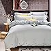 Nanko Bedding Duvet Cover Set Queen, 3 Piece 1200TC Luxury Microfiber Comforter Quilt Cover with Deco Buttons, Zipper, Ties - Modern Style for Men and Women, Light Grey Blue