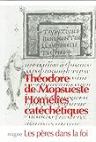 Homelies catechetiques by 