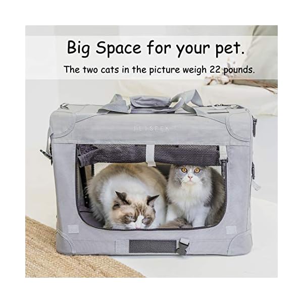 large cat carrier
