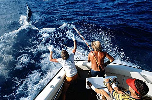 Siasky 200 Stück Angelrollenverbinder, Rollfass Angeln, Edelstahl, korrosionsbeständig, Angelwirbel Tackle Zubehör-Set… – Bild 7