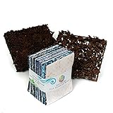 BaliBatiks Precut 2.5